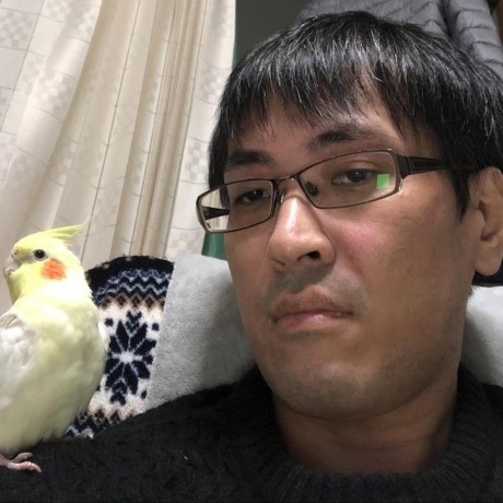 Xenyou Yoshihiro Kikuchi Github - Download Premium Geometric Illustration | High Resolution