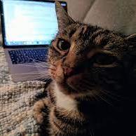 Apoorv 121 Apoorv Jha Github - Premium Abstract Image Gallery - Mobile