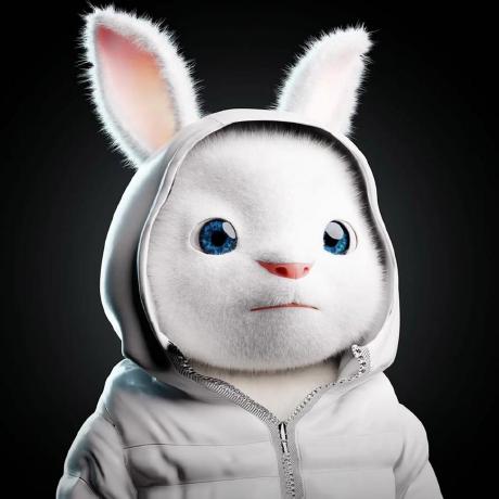 Homing1 Ming Ho Github - Sunset Photo Collection - High Resolution Quality