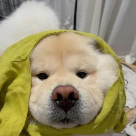 Xiaoyang212 Xiaoyang Github - Gradient Illustration Collection - Ultra HD Quality