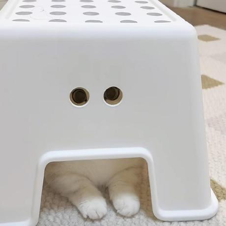 Github Hiouttime Dujiaoka - Ultra HD City Illustrations for Desktop