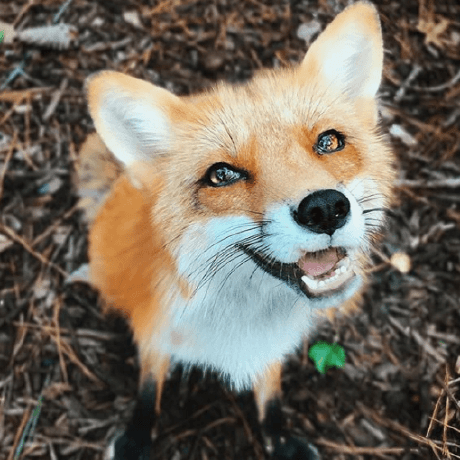 Github Woradas Road To Data Engineer - High Quality 4K Landscape Images | Free Download