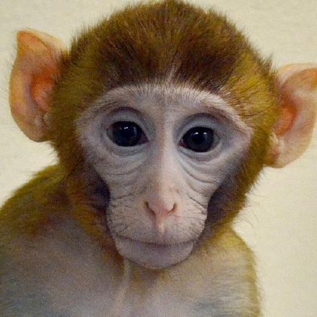 Heo Hyoseon Github - Gorgeous Abstract Pattern - 8K