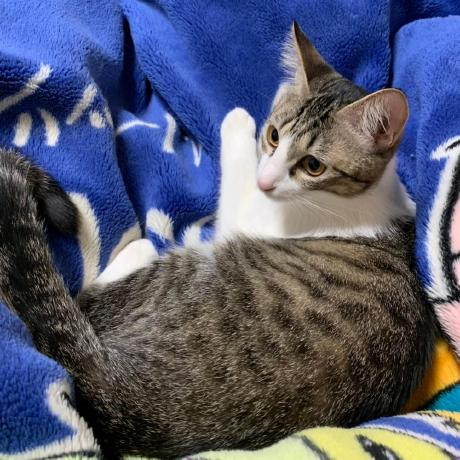 Takiguchi Yu Gnavi Takiguchi Yu Gnavi Github - Ultra HD Dark Illustrations for Desktop