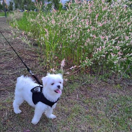 Github Github Taeyoung Taeyoungkim - Abstract Designs - Incredible Retina Collection