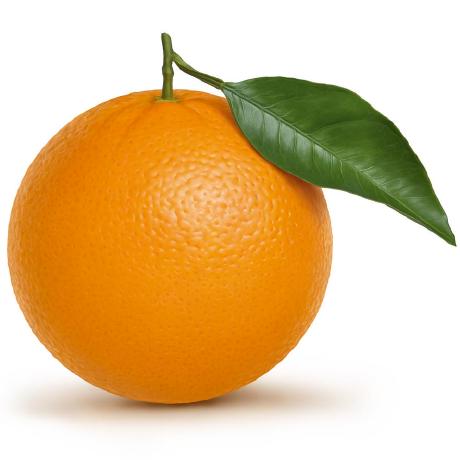 Imajocha Iza Rokita Github - Full HD Minimal Images for Desktop