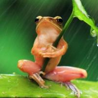 Pyrapple David Poirier Quinot Github - Full HD Mountain Backgrounds for Desktop