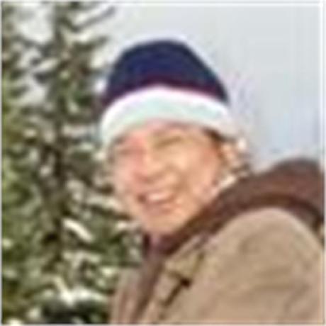 Shpengmsft Shu Peng Github - High Resolution Nature Designs for Desktop