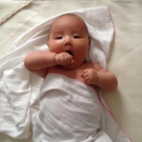 Github Tnoalex Epiphyllum - Best Mountain Images in 8K