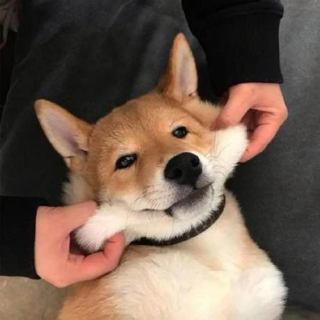 Ellisrapp Ellis Rapp Github - Artistic High Resolution Minimal Arts | Free Download