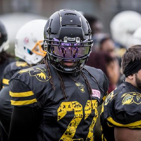 Shilohmishi Shiloh Github - Premium Sunset Background Gallery - HD