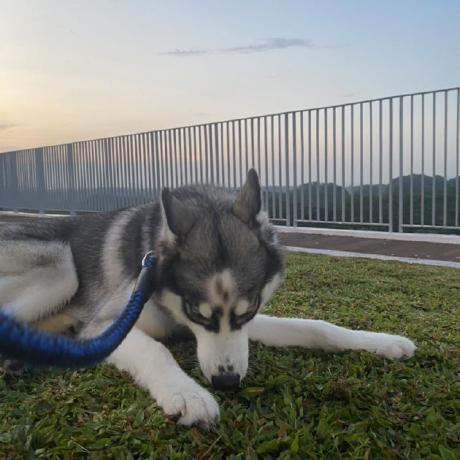 Github Jiamin Fc Ict167 Javaexercises Preparations For Writing Java - Best Vintage Designs in Full HD