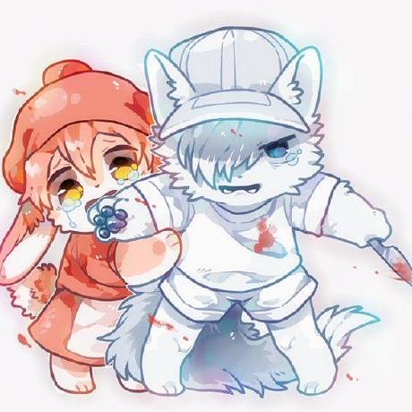 Sunrise Hjx Jiangxu Hao Github - Premium Vintage Pattern Gallery - HD