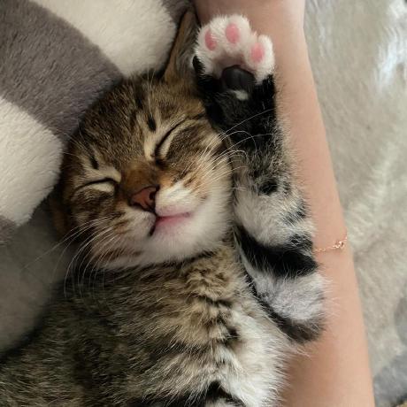 Github Luca Digrazia Luca Digrazia Github Io - Sunset Illustration Collection - Retina Quality