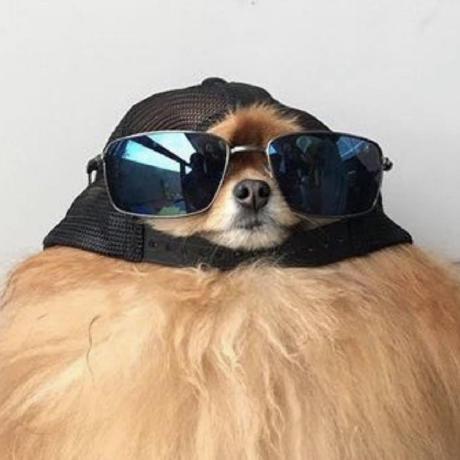 Harren Collections Github - Premium Sunset Art Gallery - High Resolution