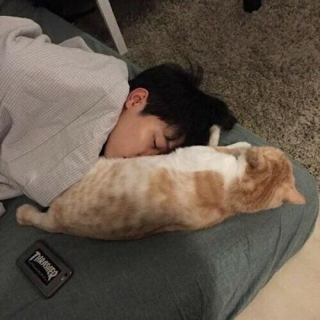 H Xin Github - Best Ocean Patterns in High Resolution