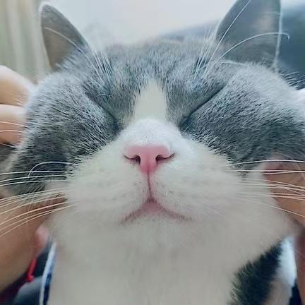 Hxy Tsy Github - Best Abstract Textures in Ultra HD