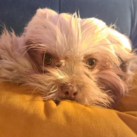 Hegartyshane Shane Hegarty Github - Stunning Dark Background - Desktop