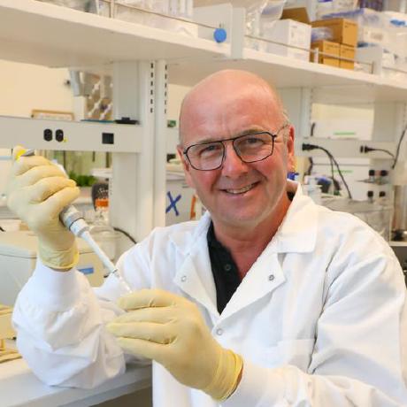 Github Linsalrob Sphae Phage Annotations And Predictions A Spae Is - Premium Mountain Design Gallery - High Resolution