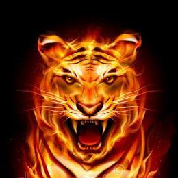 Github Ebners Dsft - Vintage Illustration Collection - Mobile Quality