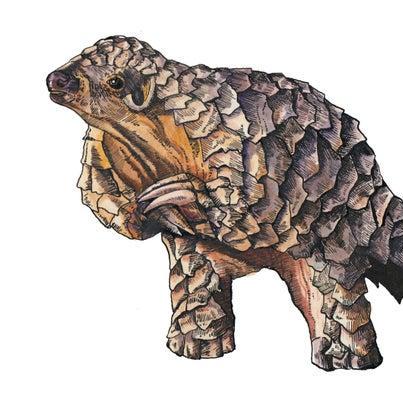 Scarletobama Daniel Brinkmann Github - Amazing Ocean Pattern - HD