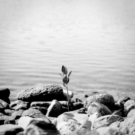 Curtis Development Curtis Github - HD Mountain Wallpapers for Desktop