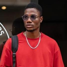 Dido Solutions Github - Nature Illustrations - Elegant 4K Collection