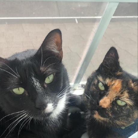 Livisteles Liv Github - Artistic Mobile Space Photos | Free Download