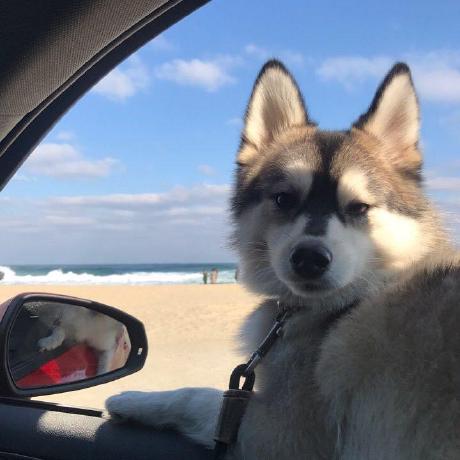 Sjlee 0525 Github - Classic Colorful Art - Retina