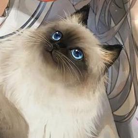 Aster4869 Asteria Github - Modern Ocean Art - HD