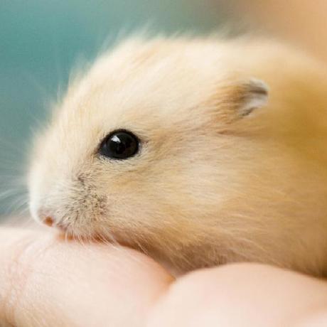 Moonbingbing Wenming Github - Gradient Pattern Collection - High Resolution Quality