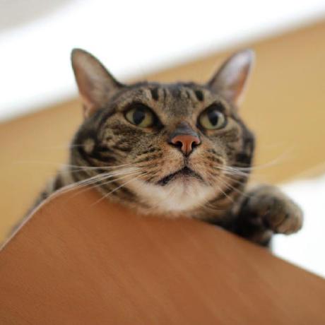 Kuriyama Jun Kuriyama Github - Dark Photo Collection - Full HD Quality