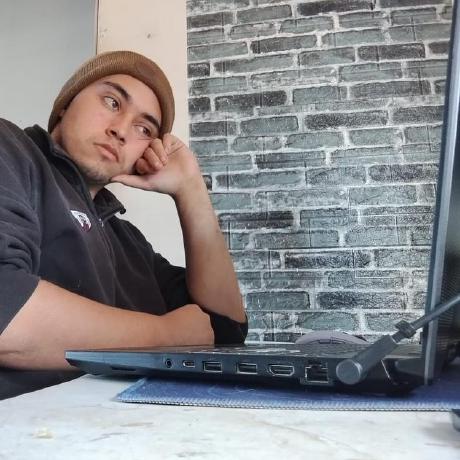 Perrowachooo Bastian Brito Github - Download High Quality Gradient Illustration | Full HD