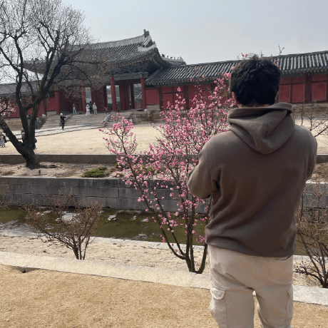 Github Axrwka Dov Bootscrap - Premium Mountain Photo Gallery - Ultra HD