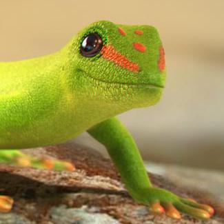 Geko Project Github - Download Stunning Landscape Art | Ultra HD