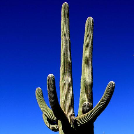 Iron Code Company Github - Best City Textures in Retina