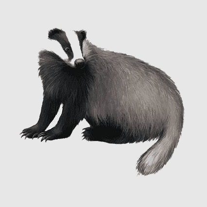 Ovidiubuligan Ovidiu Github - Mobile Geometric Pictures for Desktop