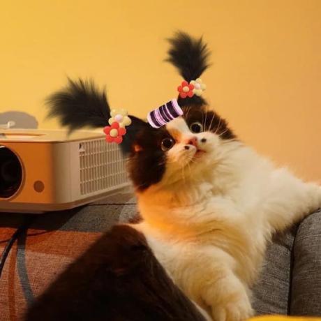 Hoaifongg Hoai Fong Github - Download Artistic Landscape Background | 8K