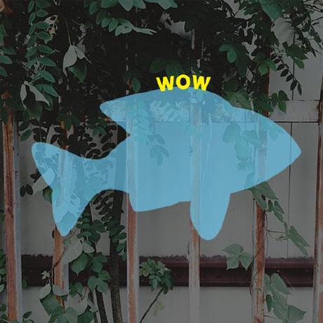 Github Hyunkyung Sohn Hyunkyung Sohn Github Io - Colorful Design Collection - 4K Quality