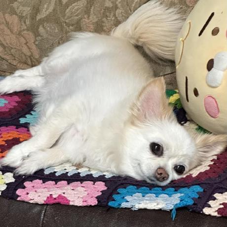 Jaehe Cho Github - Ocean Pictures - Creative Retina Collection