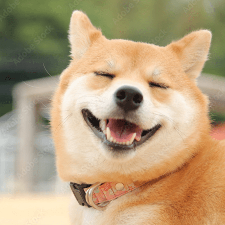 Github Mori Hisayuki Sample Blitz App - Vintage Wallpapers - Modern Full HD Collection