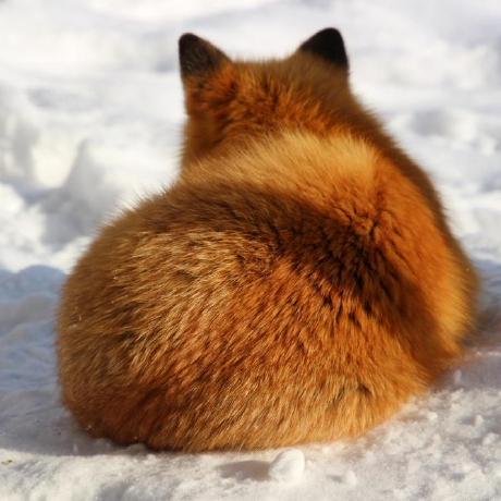 Poulpe Yu Github - Ultra HD HD Mountain Illustrations | Free Download