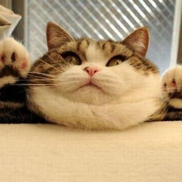 Polsl Github - Landscape Patterns - Classic HD Collection