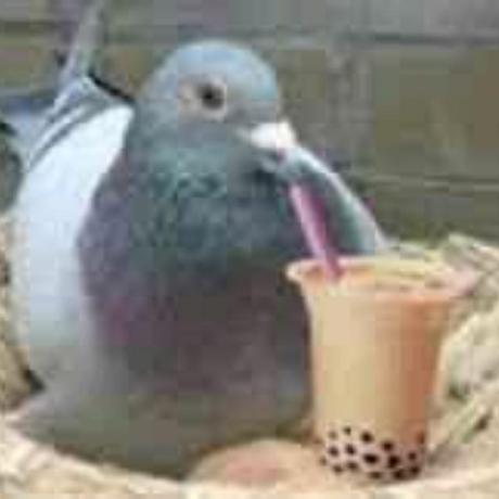 Flyingfish1314 Github - Desktop City Arts for Desktop