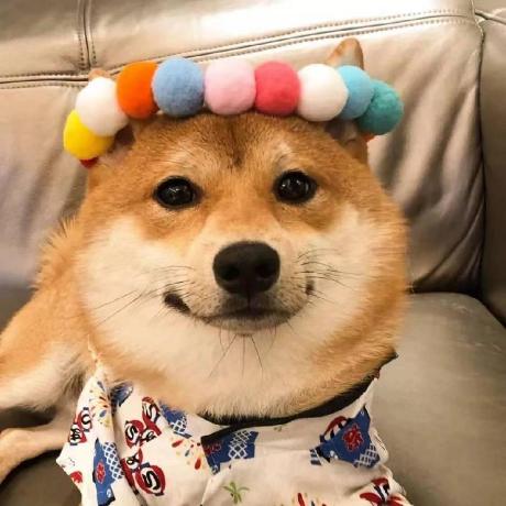 Zhouyang159 Zhouyang Github - Nature Illustration Collection - 8K Quality