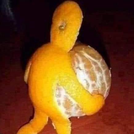 Lourdes 1984 Github - Download Creative City Picture | Mobile