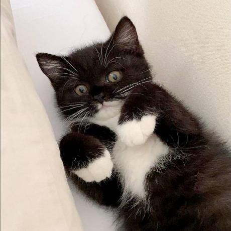 Narubetin1 Narubet Intaraprasit Github - Minimal Illustrations - Stunning Mobile Collection