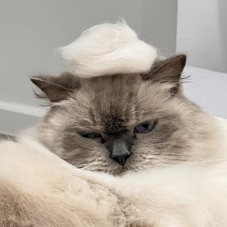 Github Nattakit Adasoft Nattakit - Mountain Designs - Modern HD Collection