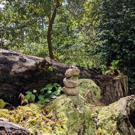 Taukon Kota Nakagawa Github - Best Mountain Photos in High Resolution