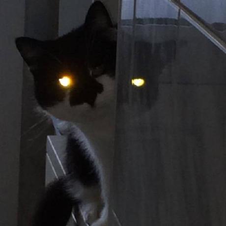 Hs Jack Github - Download Perfect Colorful Texture | Desktop